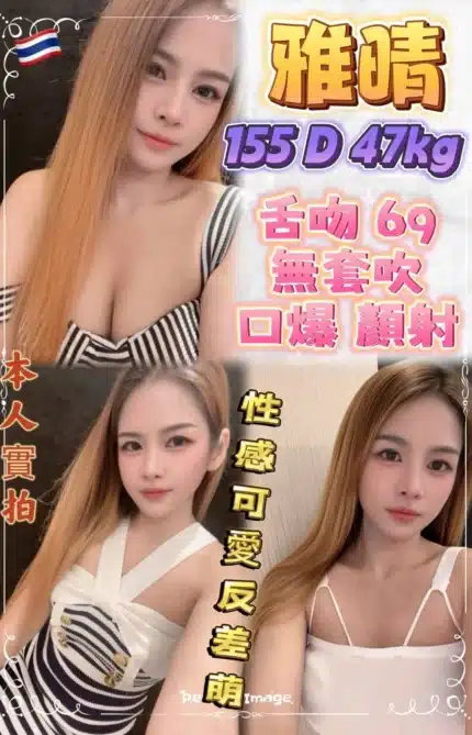 新北定點茶-雅晴/155/47/?/D