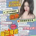 台中定點茶-Nami/163/43/20/D