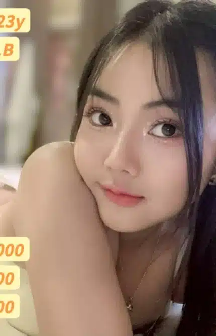 高雄定點茶-雅典娜/154/43/23/B