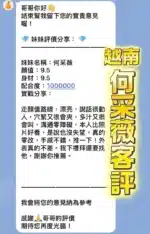 桃園定點茶-何采薇/160/46/24/D