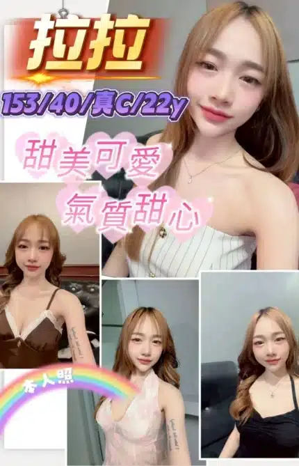 新竹定點茶-拉拉/153/40/22/C