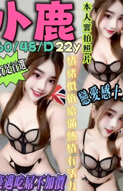 新北定點茶-小鹿/160/48/22/D