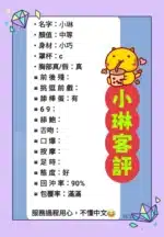 新北定點茶-小琳/152/40/19/D