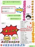 新竹定點茶-小蘿拉/160/46/20/E