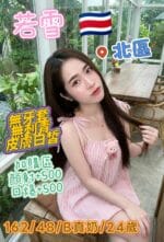 台中定點茶-若雪/162/48/24/B