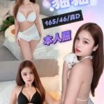 台中定點茶-貓貓/165/46/?/D
