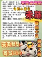 高雄定點茶-禾萌/155/43/18/D