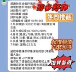 新竹定點茶-芬多/160/45/20/F