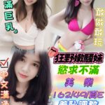 台中定點茶-美樂/162/49/22/E