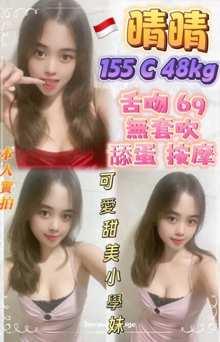 新北定點茶-晴晴/155/49/?/C
