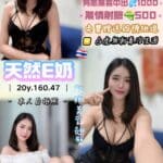 桃園定點茶-小泡芙/160/47/20/E