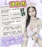 台中定點茶-迷你馬/158/40/20/D