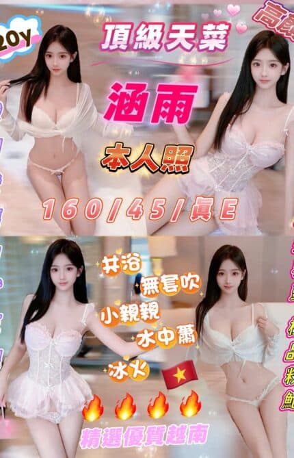 新竹定點茶-涵雨/160/45/20/E