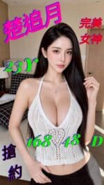 嘉義定點茶-楚追月/168/48/23/D