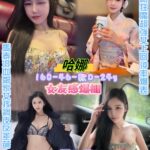 台北定點茶-哈娜/160/46/24/D