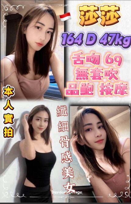 新北定點茶-莎莎/164/47/?/D