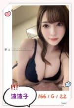 台北外送茶-波波子/166/?/22/G