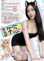 台中定點茶-許念/163/50/23/D