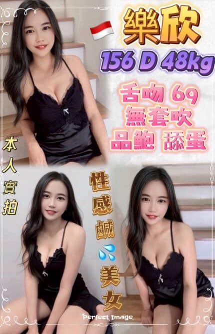 新北定點茶-樂欣/156/48/?/D