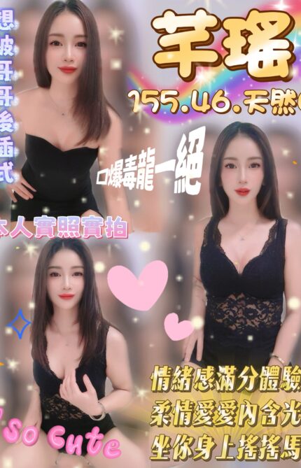 雲林定點茶-芊瑤/155/46/23/C