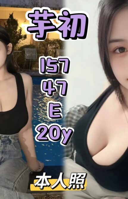 新北定點茶-芋初/157/47/20/E