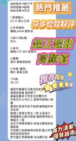 新竹定點茶-芬多/160/45/20/F