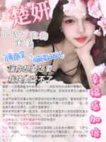 台北定點茶-楚妍/162/42/?/
