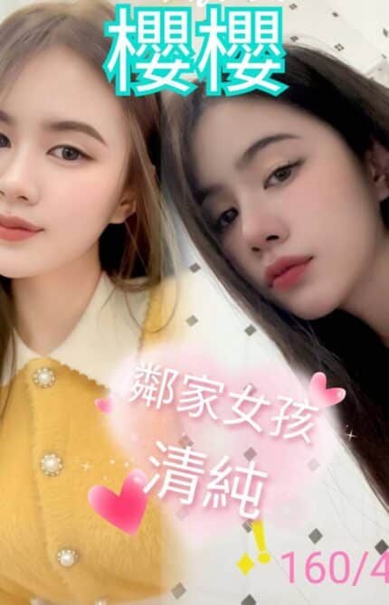 台南定點茶-櫻櫻/160/45/23/B
