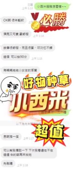 南投定點茶-小西米/160/47/?/E