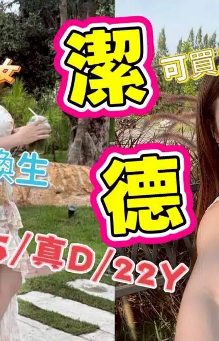 嘉義外送茶-潔德/156/45/22/D
