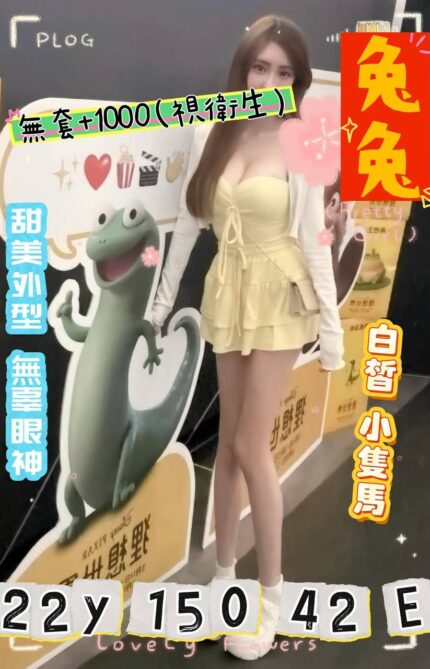 桃園外送茶-兔兔/150/42/22/E