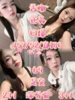 新竹定點茶-依寧/157/52/20/C