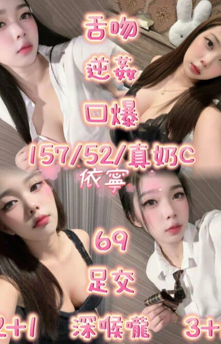 新竹定點茶-依寧/157/52/20/C