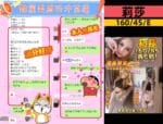 台中定點茶-莉莎/162/50/?/E