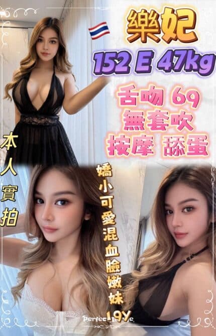 新北定點茶-樂妃/152/47/19/E