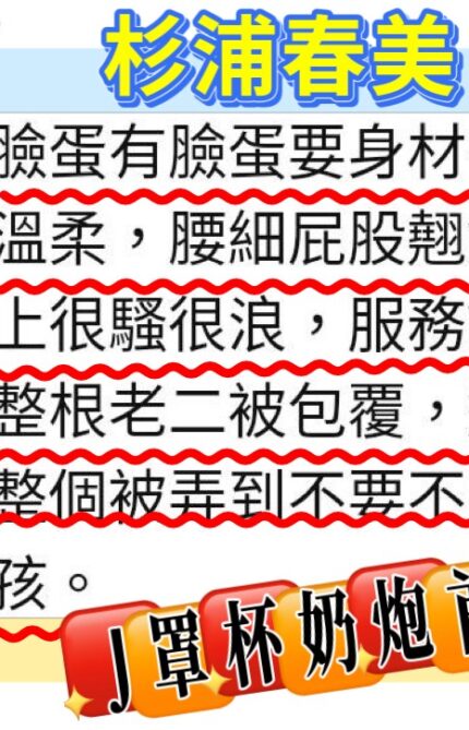 高雄定點茶-杉浦春美/153/48/22/J