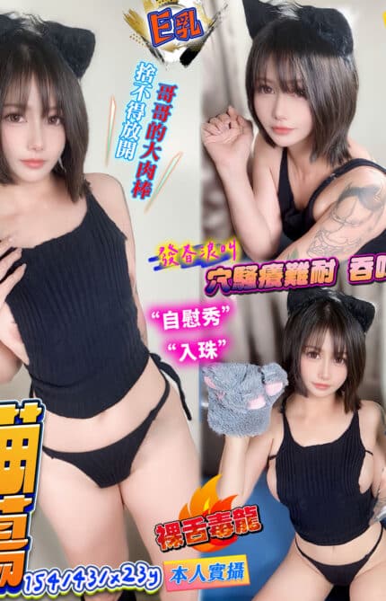 台中定點茶-喵蕩/154/43/23/E