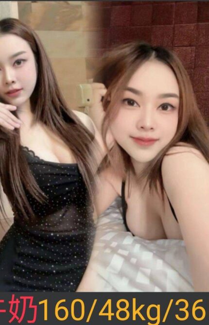 南投定點茶-牛奶/160/48/26/E