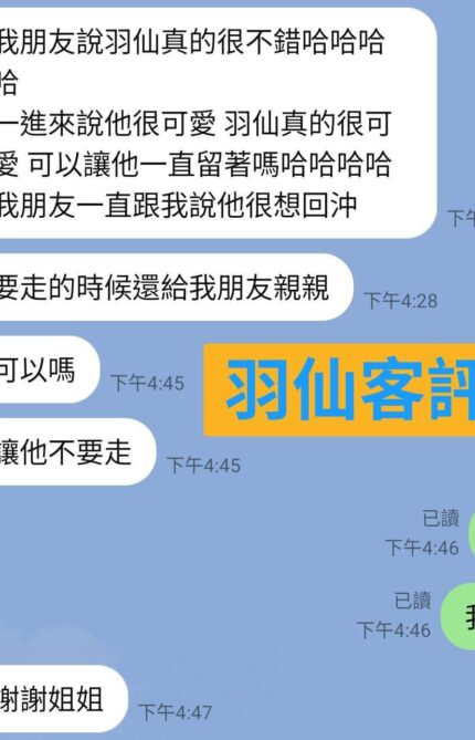 台東定點茶-羽仙/162/47/22/E