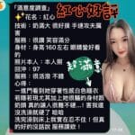 台南定點茶-紅心/160/41/22/E