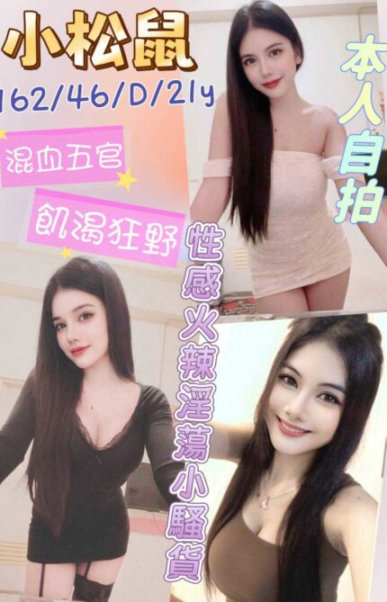 雲林定點茶-小松鼠/162/46/21/D