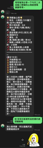 桃園定點茶-小檸檬/162/48/24/D