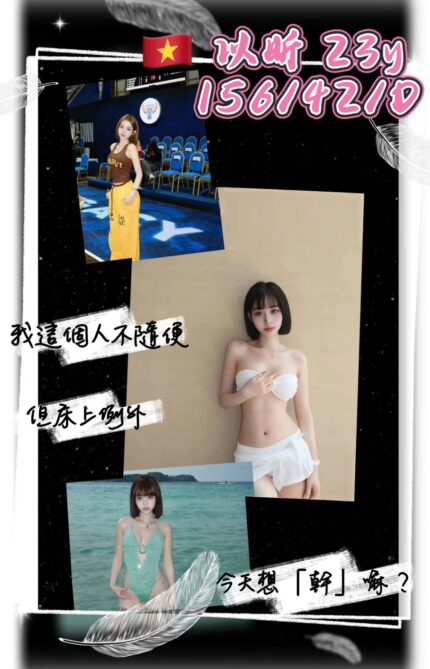 桃園定點茶-以昕/156/42/23/D