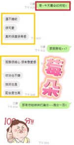 台中定點茶-莓朵/165/43/20/E