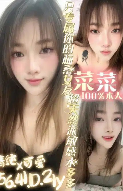 台南定點茶-菜菜/156/41/21/D
