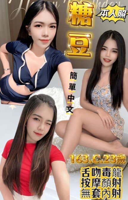 新北定點茶-糖豆/163/48/23/C