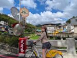 台北定點茶-糖小夏/161/48/23/D