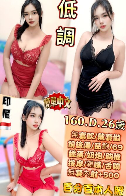 新北定點茶-低調/160/48/26/D