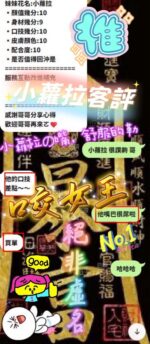 新竹定點茶-小蘿拉/160/46/20/E