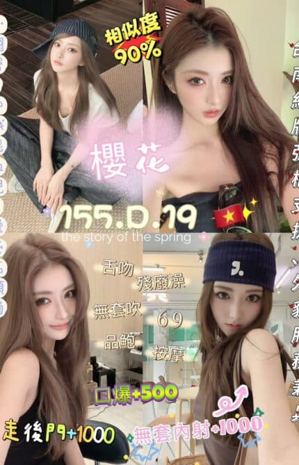 新北定點茶-櫻花/155/45/19/D
